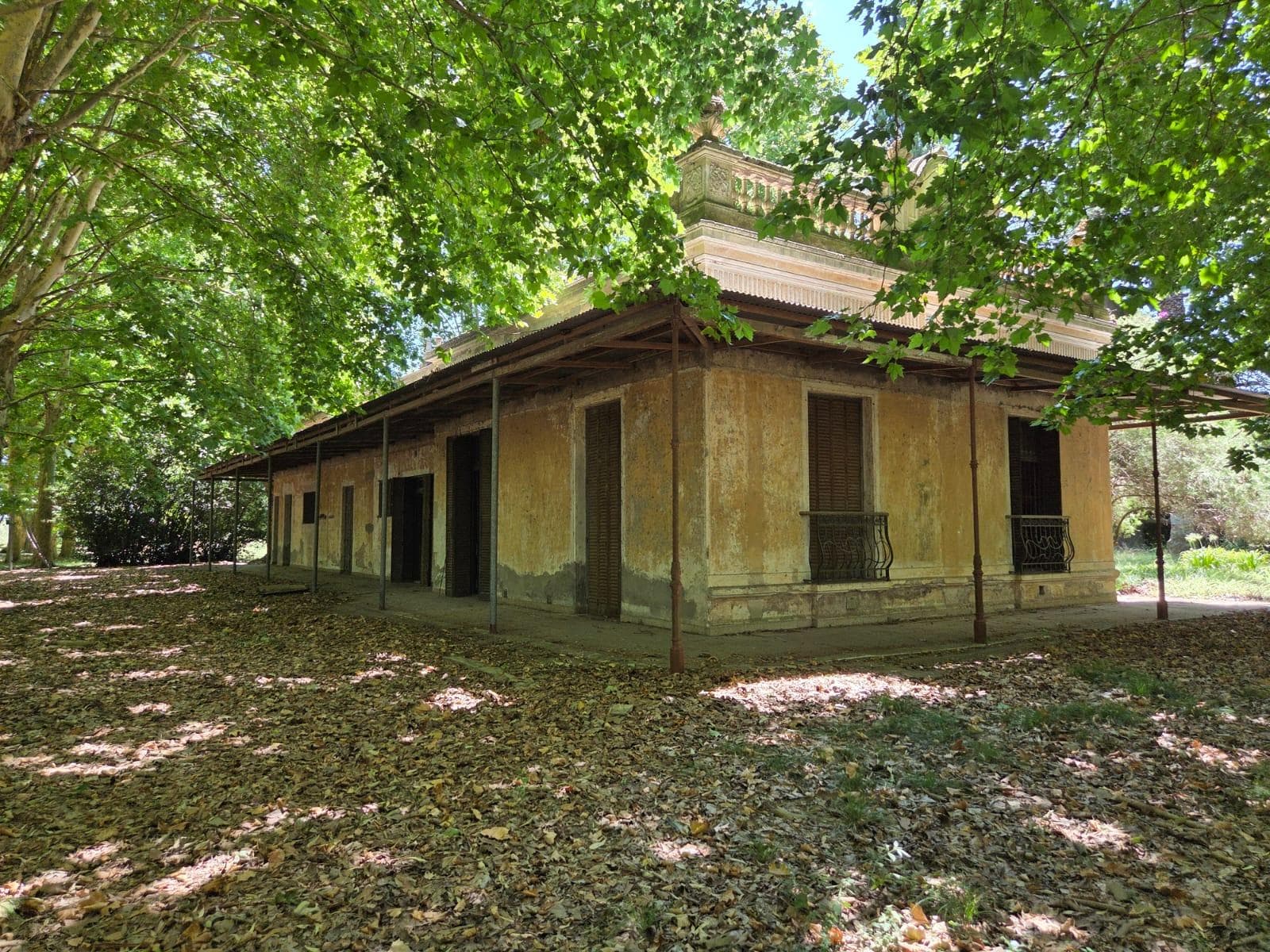 Campo en Pilar 21,87 has. Ideal polo o desarrollo - 1