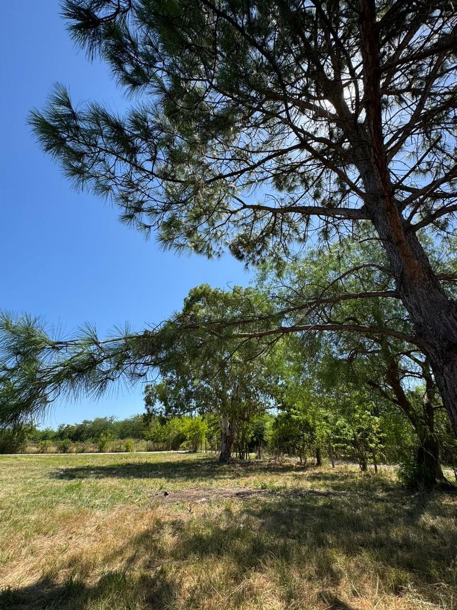 Terrenos en Venta en Villa Elisa - 1