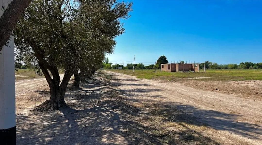 Terreno en Calle Carmona - Las Paredes - 1