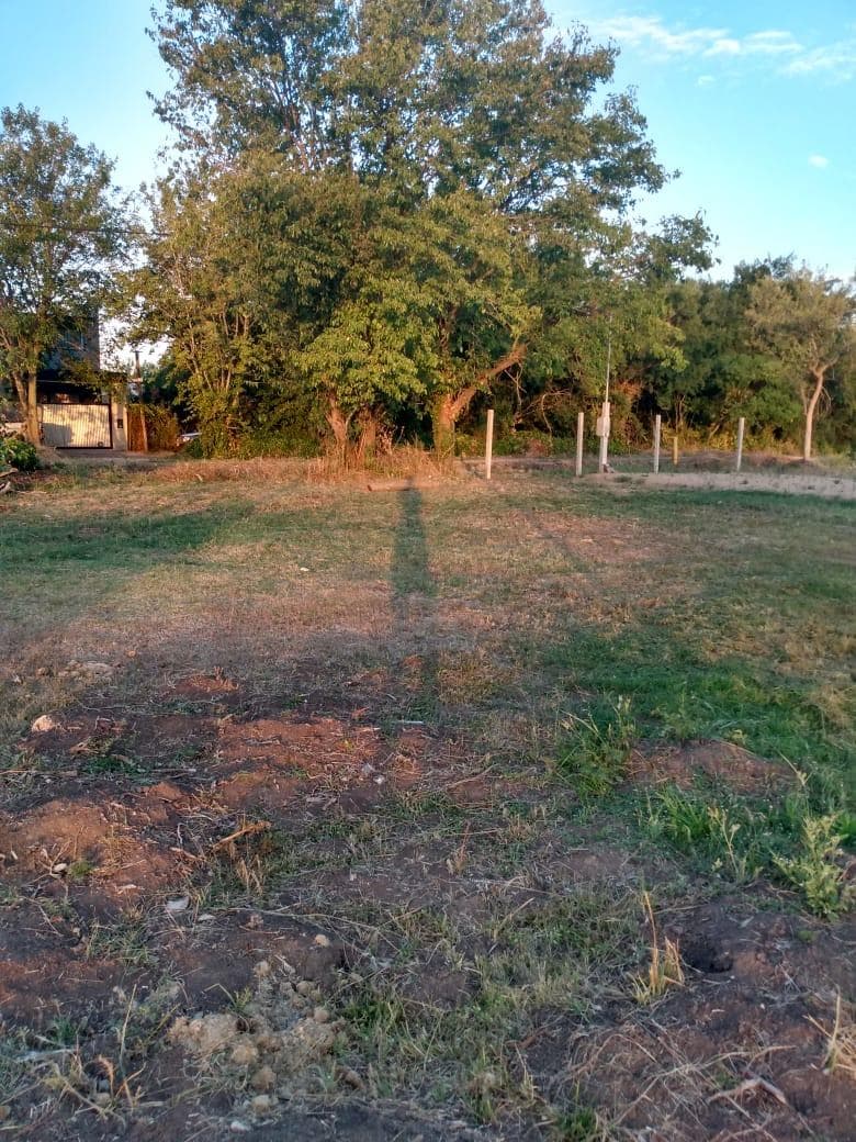 Terreno en venta en Arturo Segui - 1