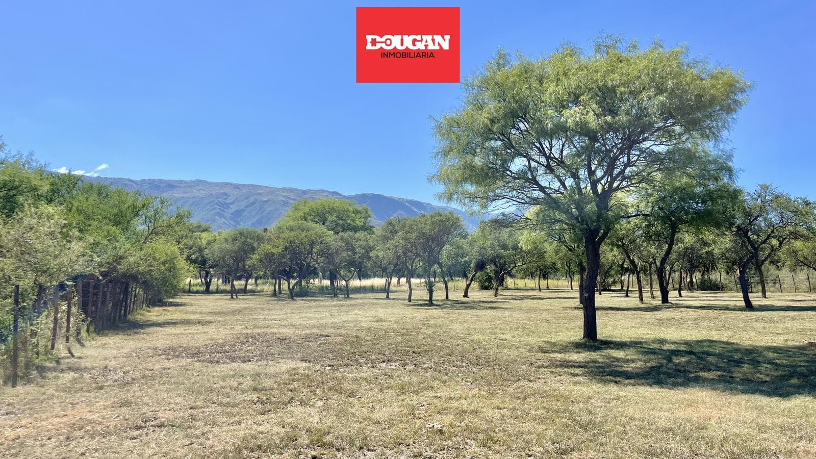 VENTA - Lote parquizado - Los Molles - 1