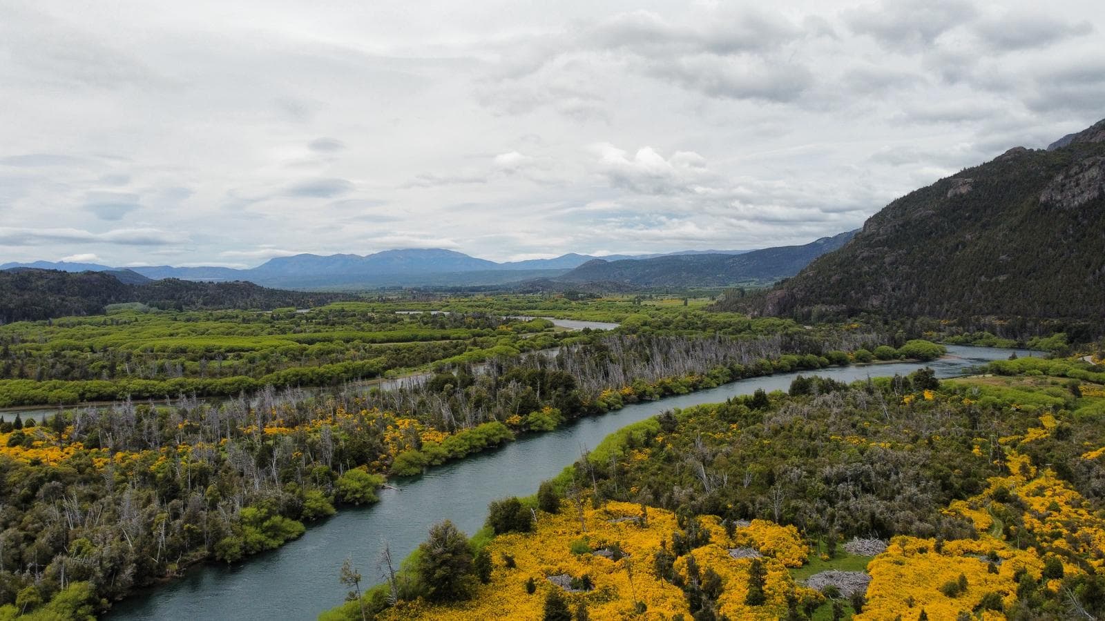 Campo en Trevelin - 1