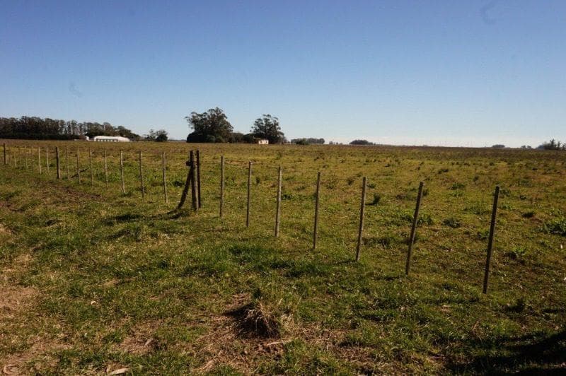 Campo 4 hectáreas / Miramar, Gral. Alvarado - 1