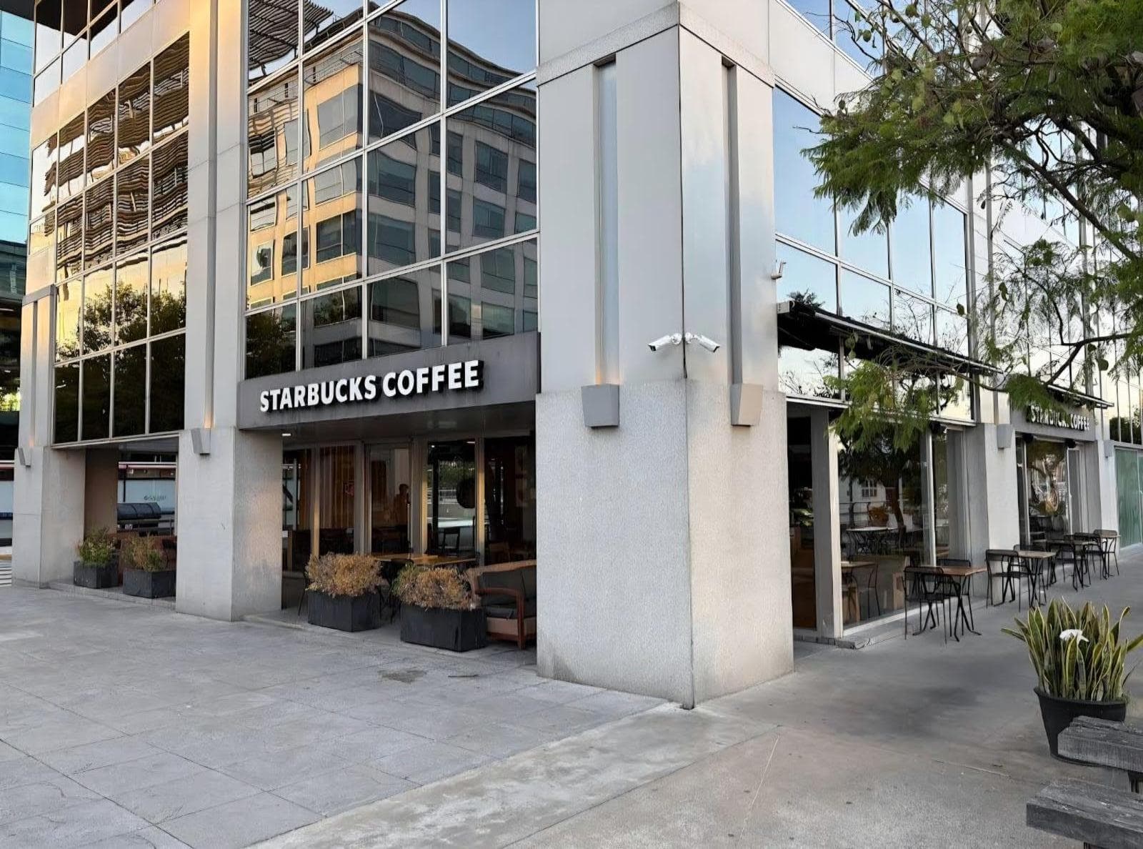 Local en Puerto Madero - 1