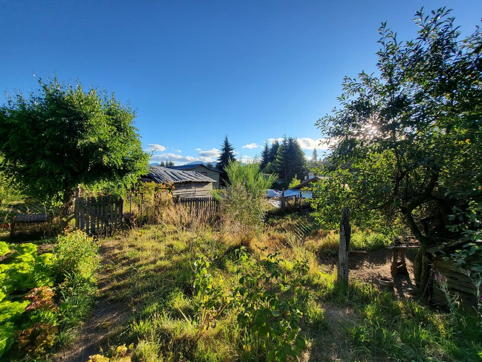 Terreno comercial en Centro de Villa La Angostura - 1