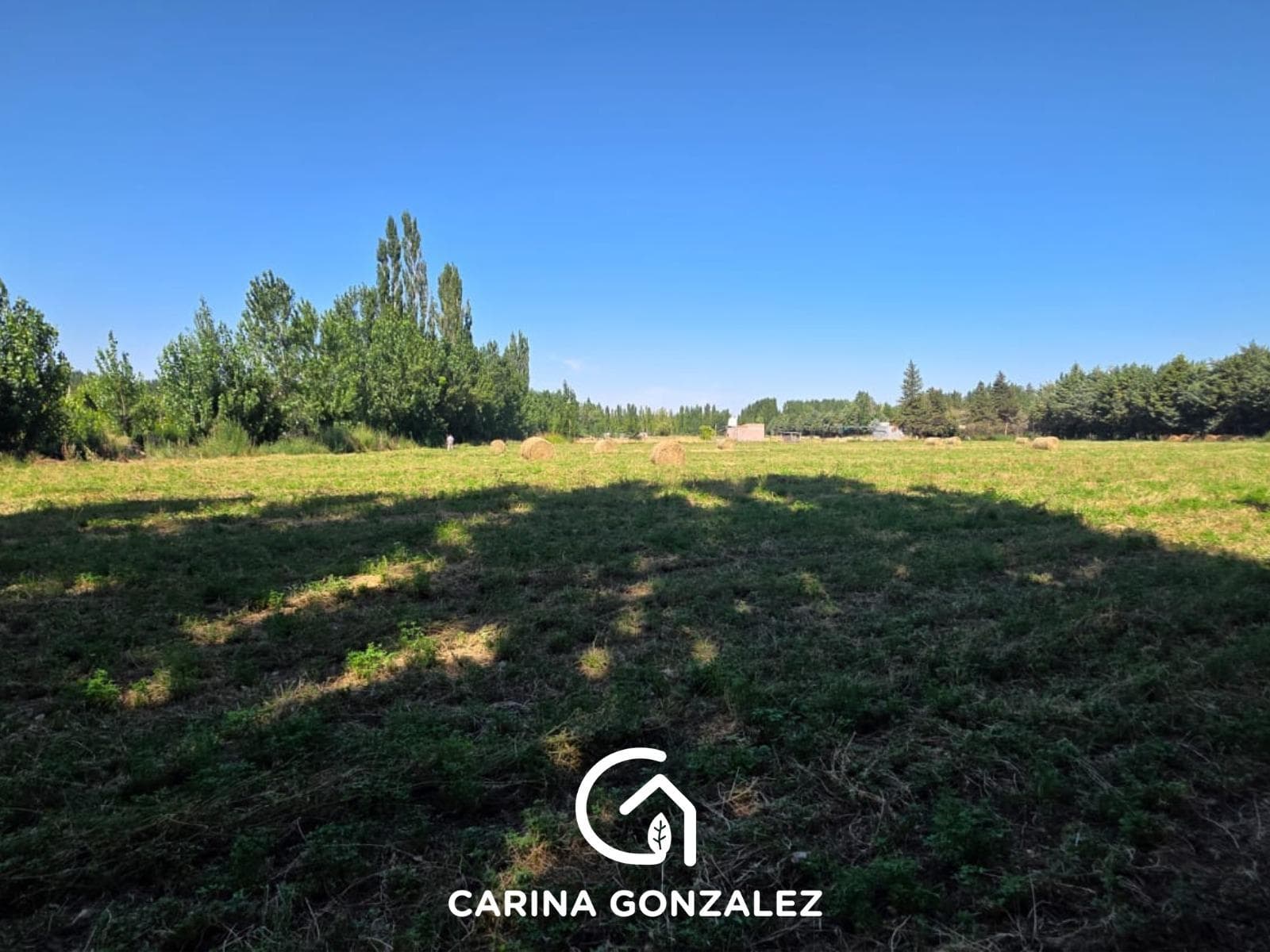 Chacra en Centenario - 1