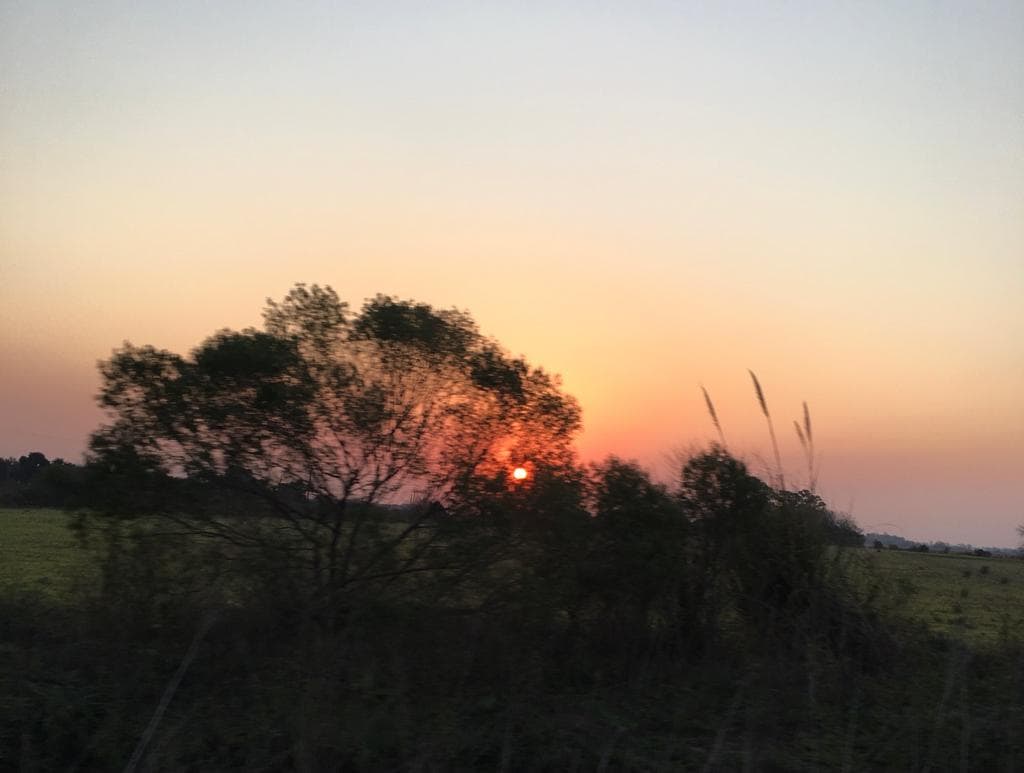 Terreno en Chacras de Olivia - 1