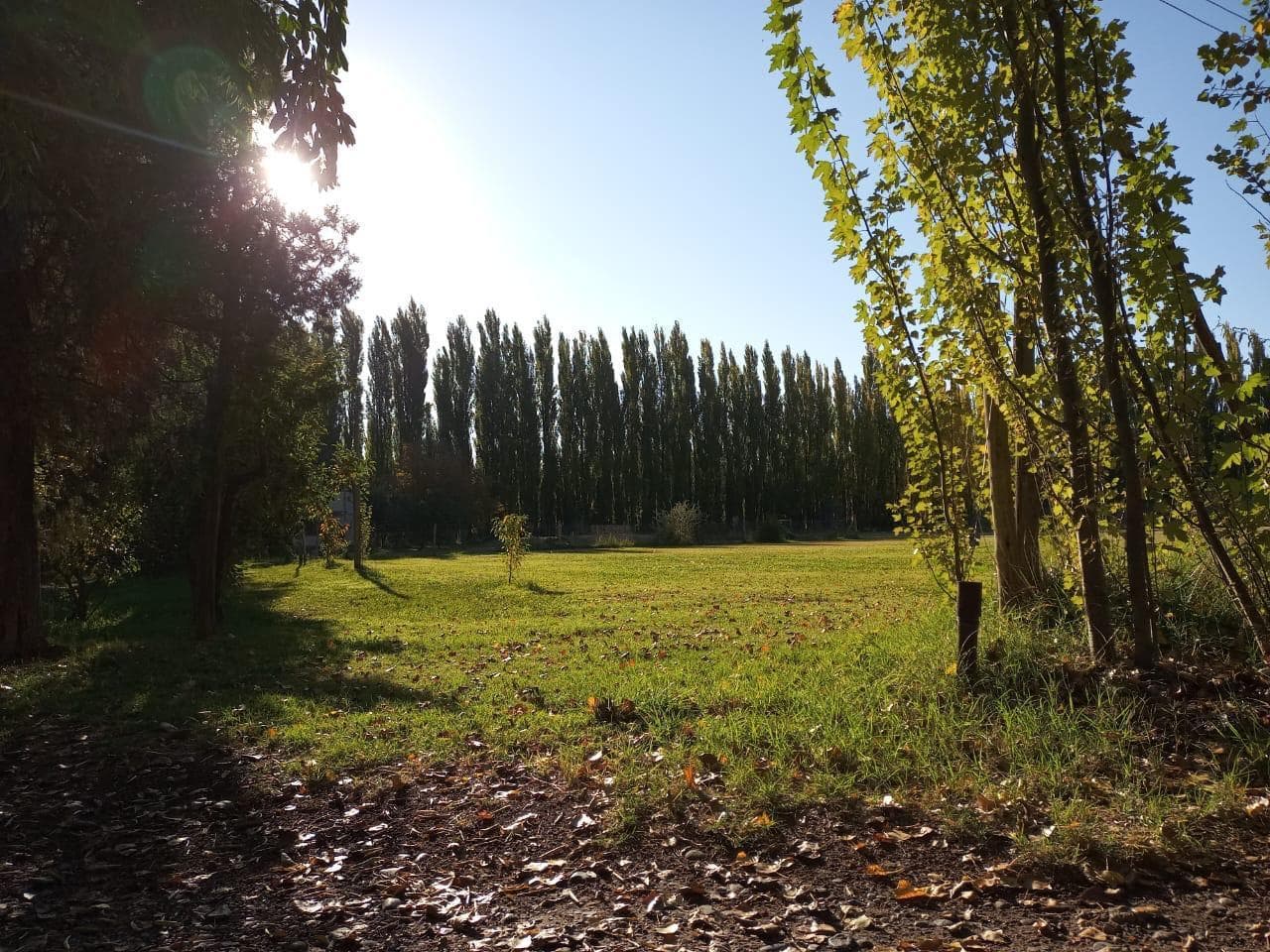 Chacra en Cinco Saltos - 1