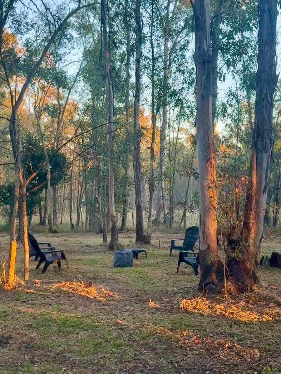 Venta de Lote en “Estancia Estrella Federal”- Ramallo, de (casi) 1 hectárea - 1