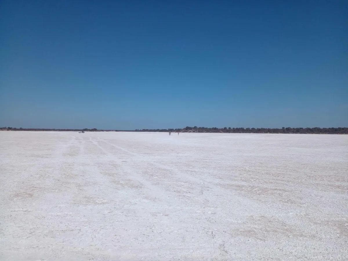 Campo de 24000 ha en Cruz del Eje Salinas de Córdoba apto ganadería y explotación de sales - 1