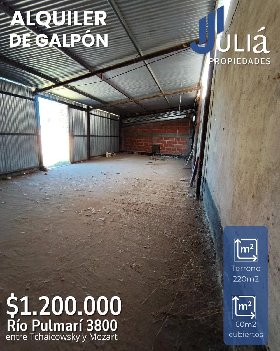 ALQUILER Galpón y terreno Río Pulmarí al 3800 - 1