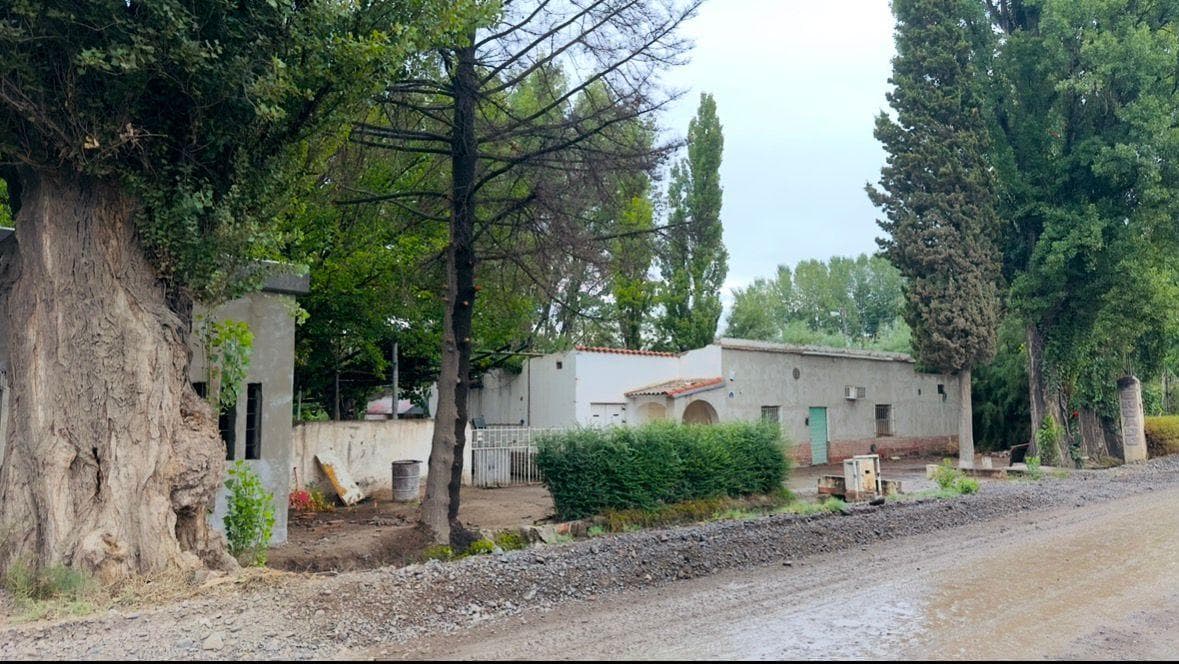 Chacra en Cipolletti - 1