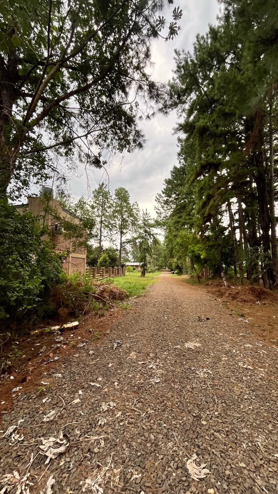 Terreno - Candelaria - 1