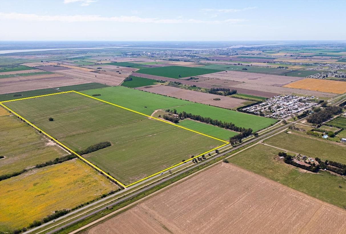 90 ha agrícolas sobre ruta. Pavón, Dto. Constitución, Santa Fe. - 1