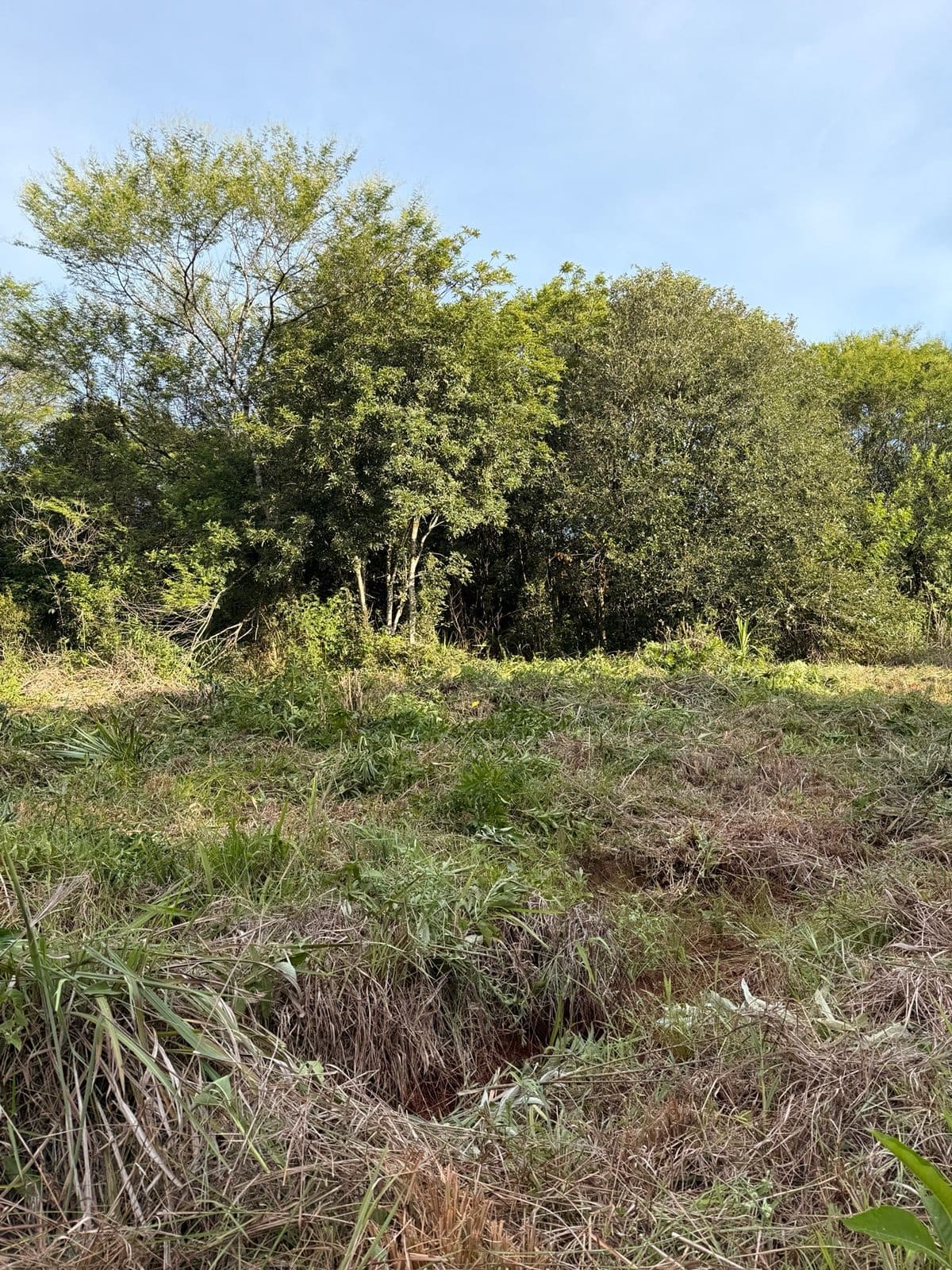 OFERTA INMOBILIARIA: Lote en venta en una zona en crecimiento - 1