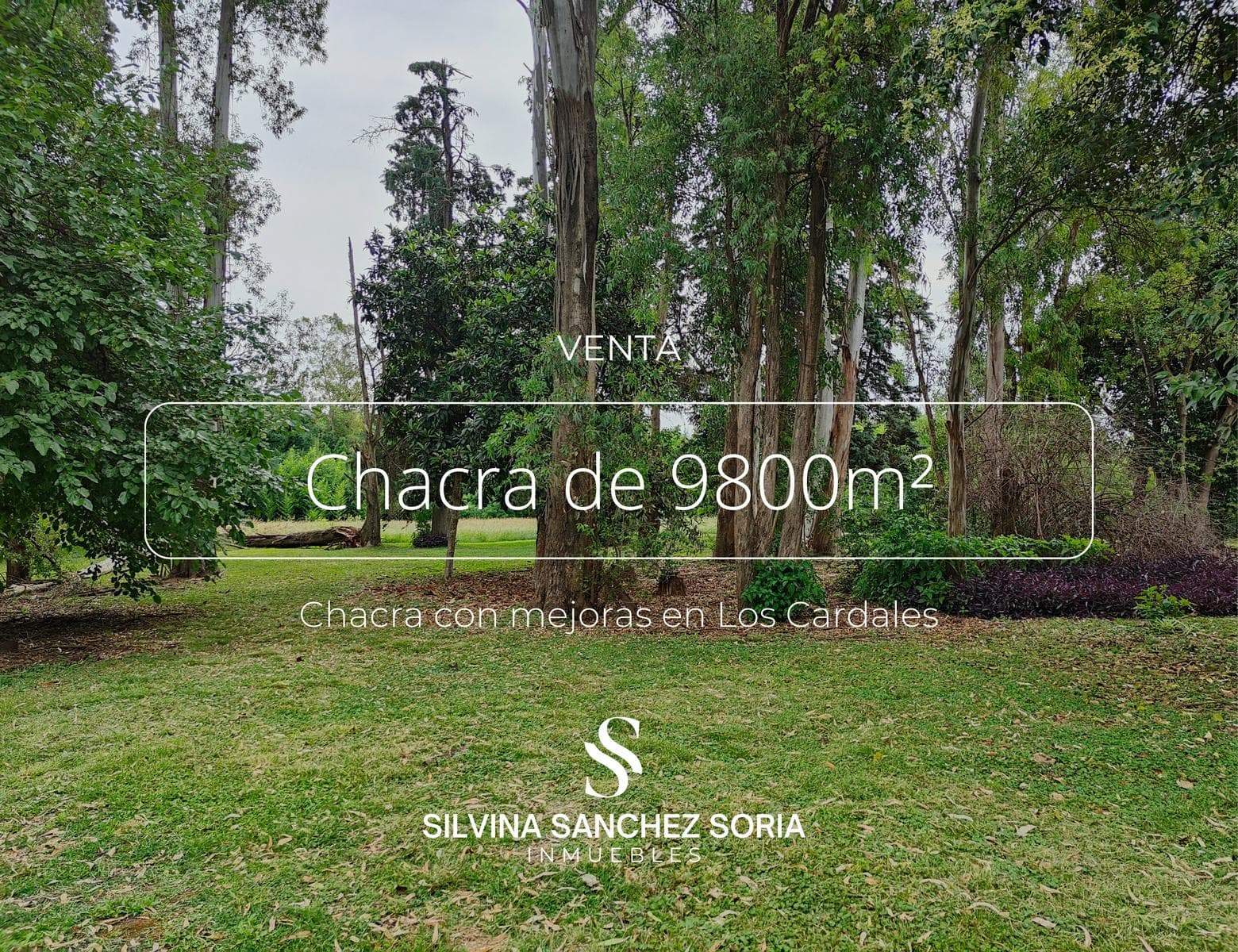 CHACRA DE 9800 M2 CON MEJORAS EN LOS CARDALES - 1