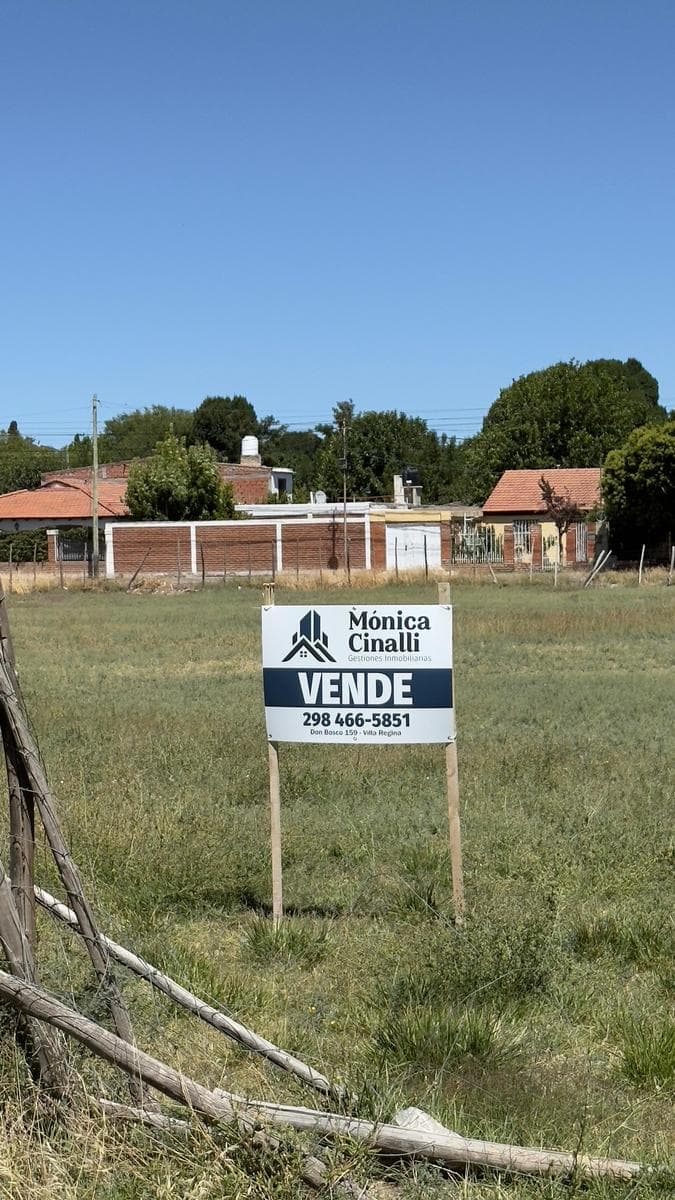 Terreno en Villa Regina - 1