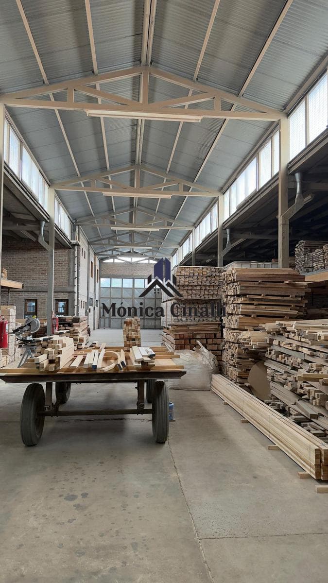 Local en Villa Regina - 1