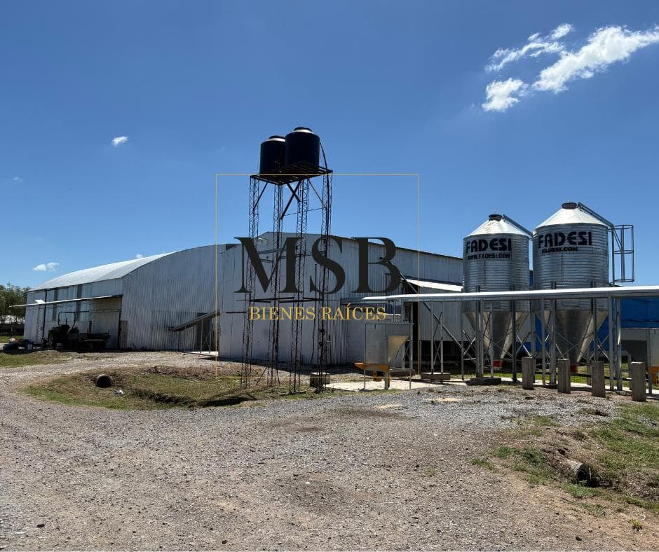 Campo en General Belgrano - 1