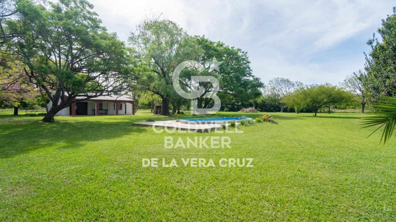 Gran terreno arbolado - 1