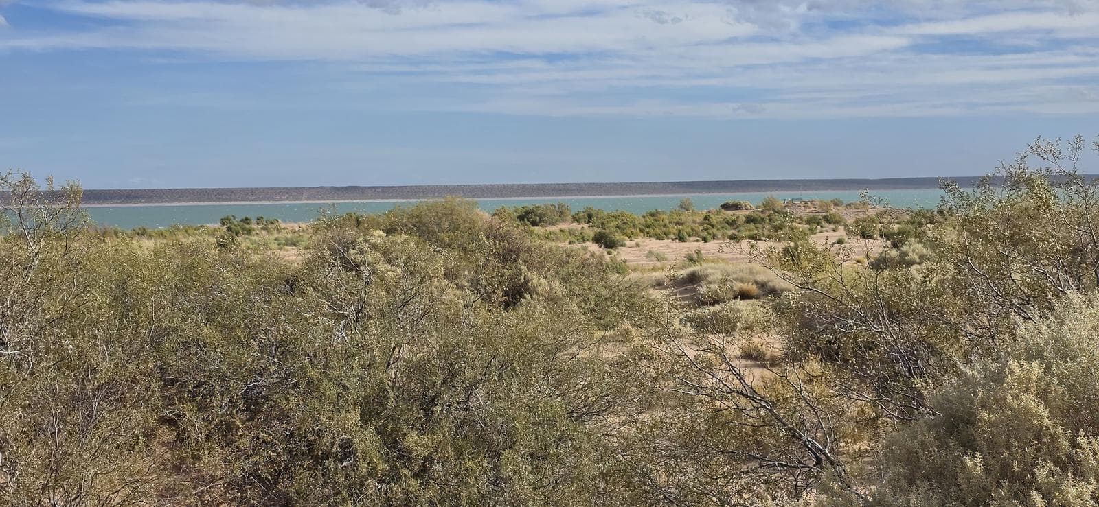 Terreno en CHOCON MEDIO - 1