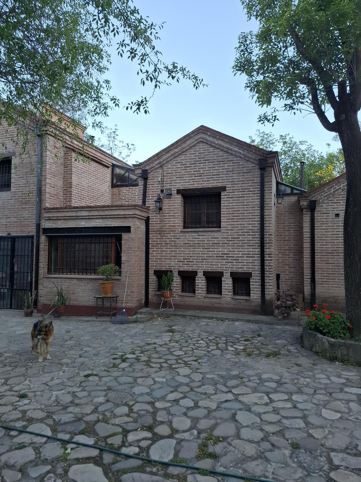 Casa en alquiler 5 dormitorios pileta lesser - 1