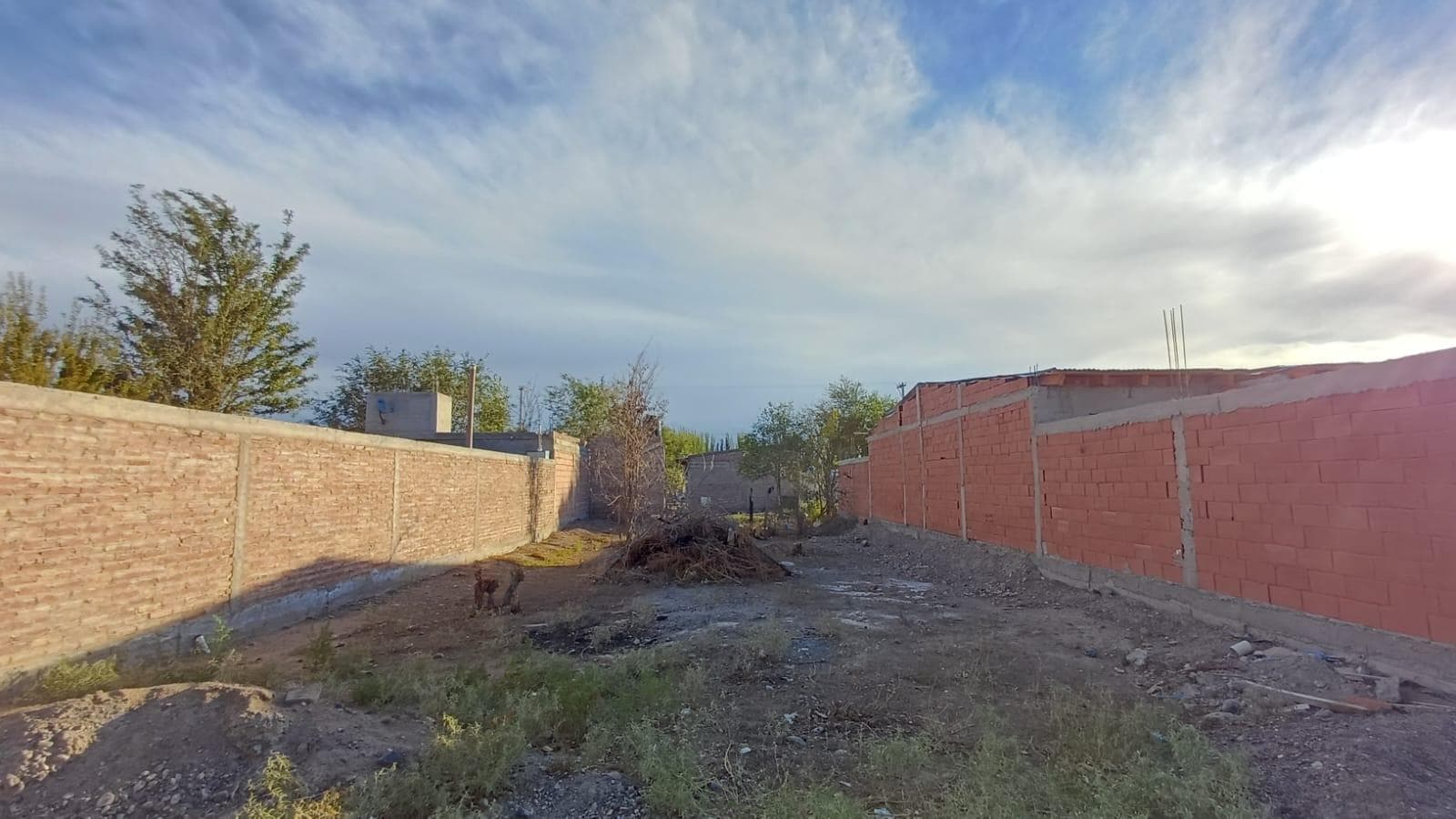 Terreno en Cinco Saltos - 1