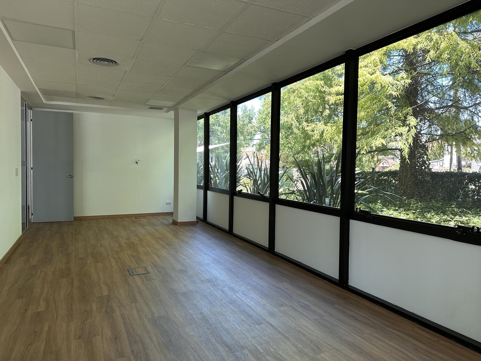 Oficina en alquiler en planta baja de 278m2 con 5 cocheras en Martínez - 1