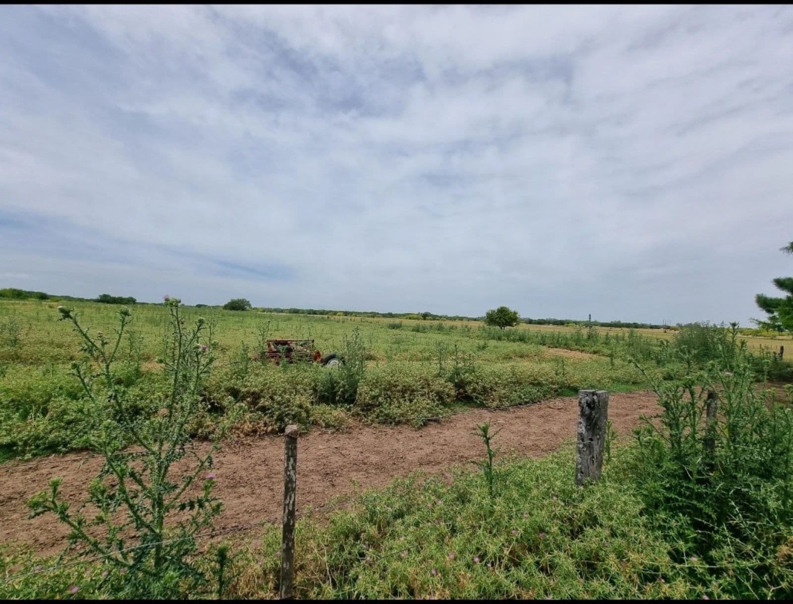 Campo - General Rodriguez - 1