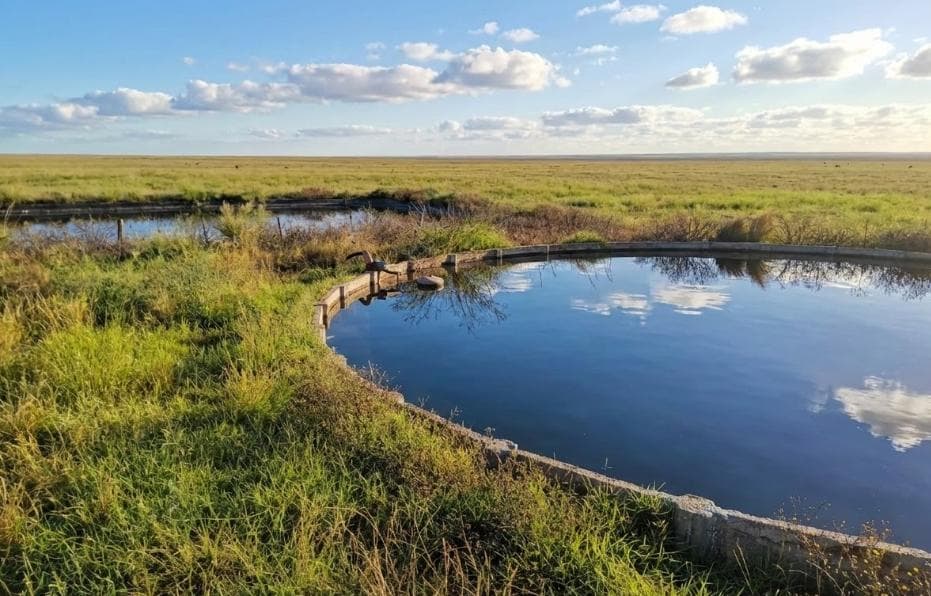 Campo en Venta de 3945 has en San Luis - 1