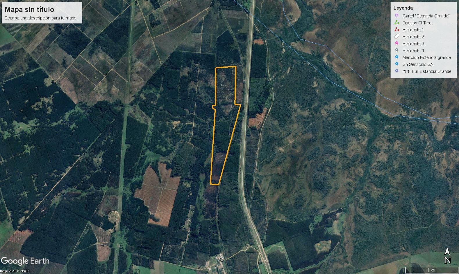 Forestacion El Palmar - 1