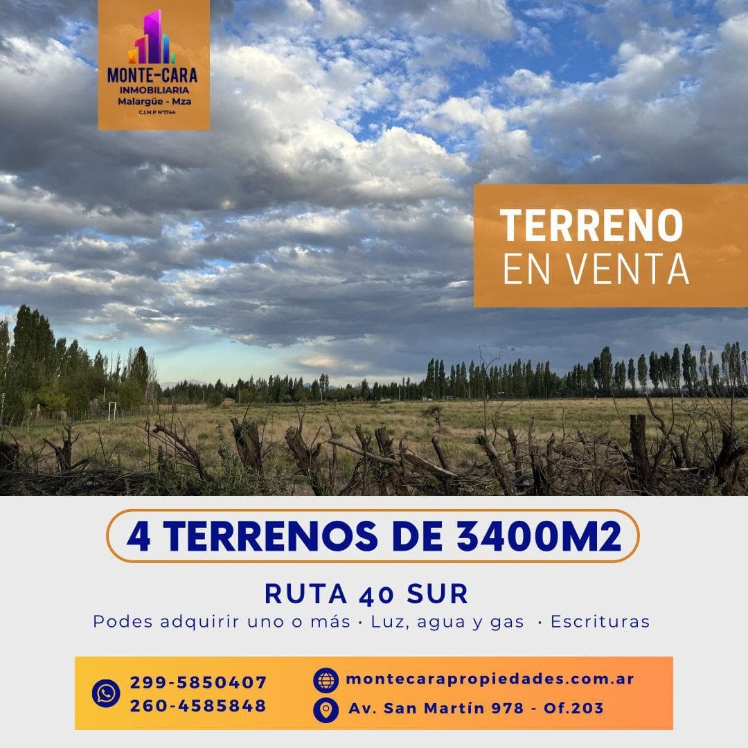 Terreno sobre Ruta 40 Sur - 1