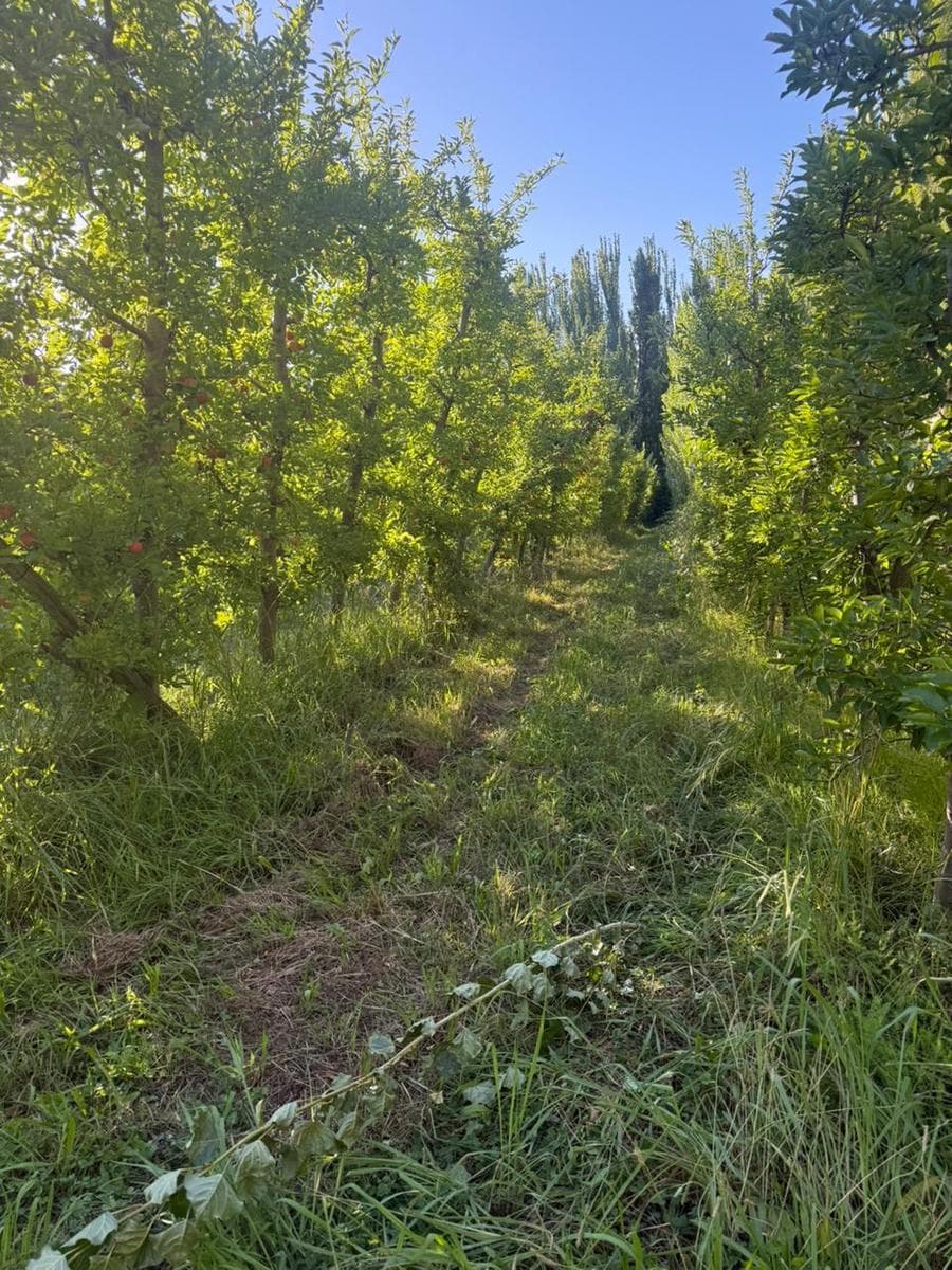 Terreno en Vista Alegre Sur - 1