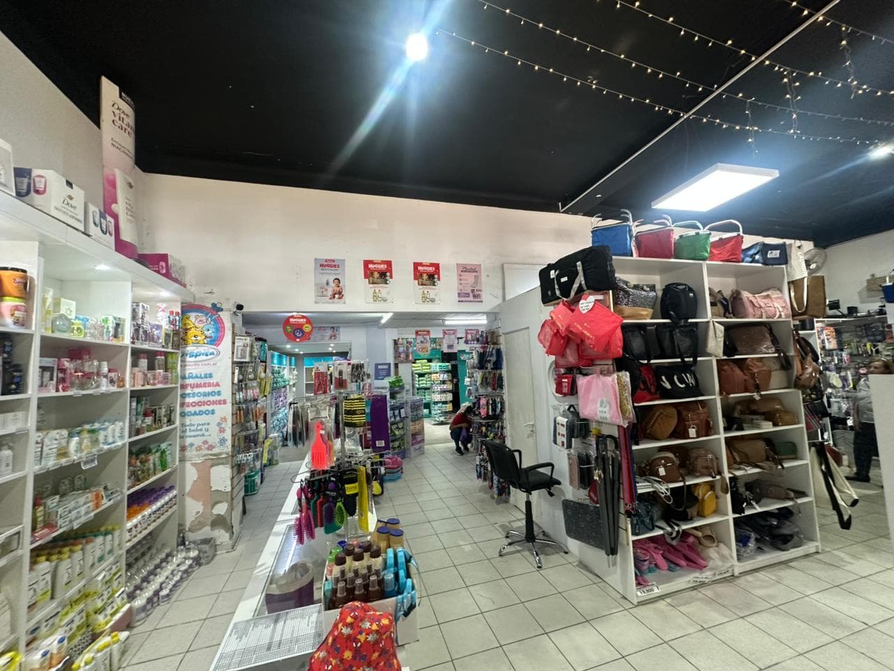 Local, Galpón y Casa en Fisherton - 1