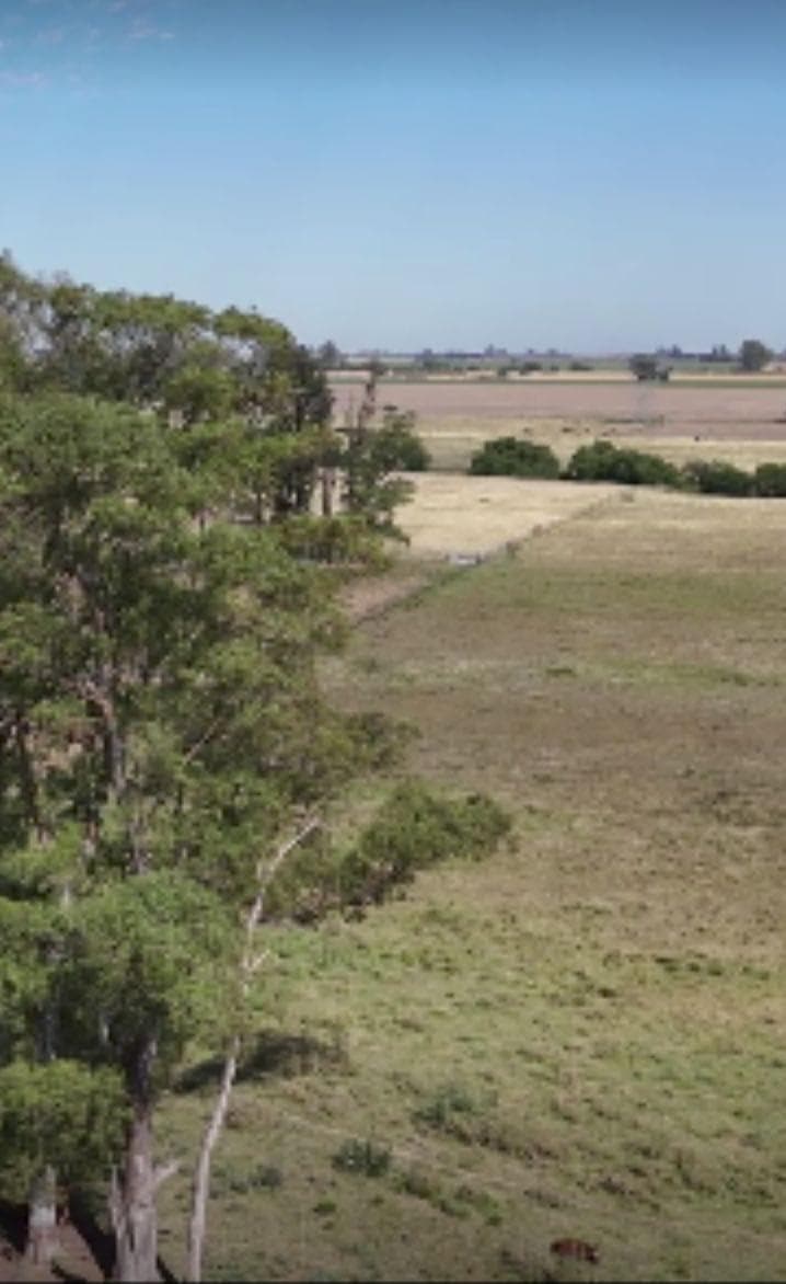 Campo en San Pedro - Mixto - Mejoras - Casco - Molinos - Tanque - - 1