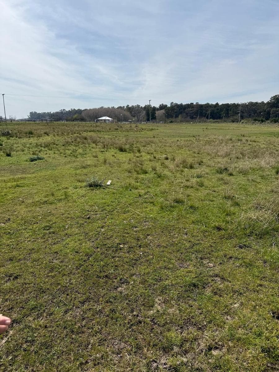 Terreno Venta En Domselaar - 1