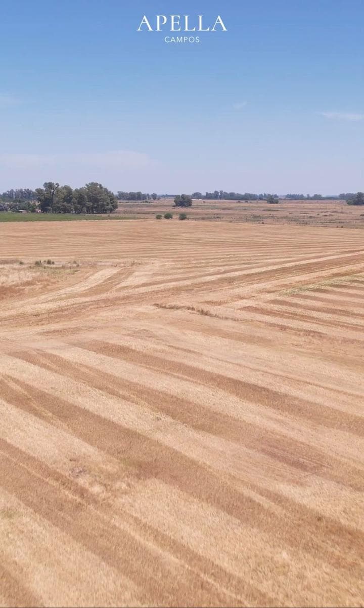 Campo en General Las Heras - 1