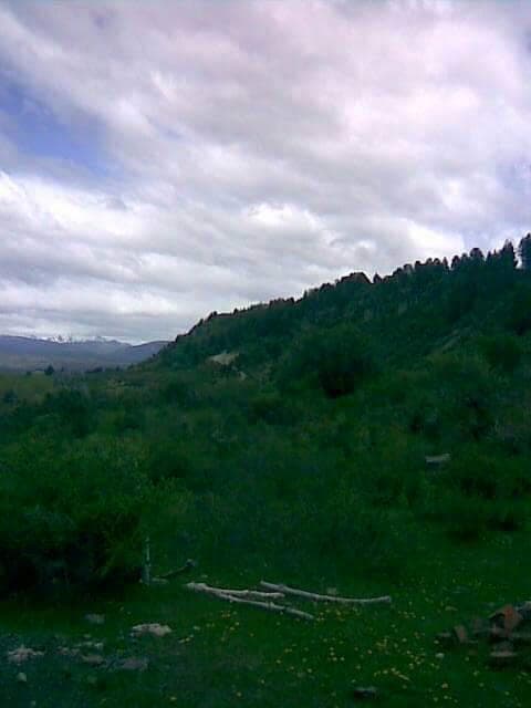 Chacra - Cholila - 1