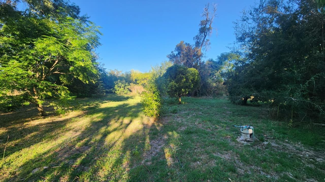 Terreno con mejora en venta - 1