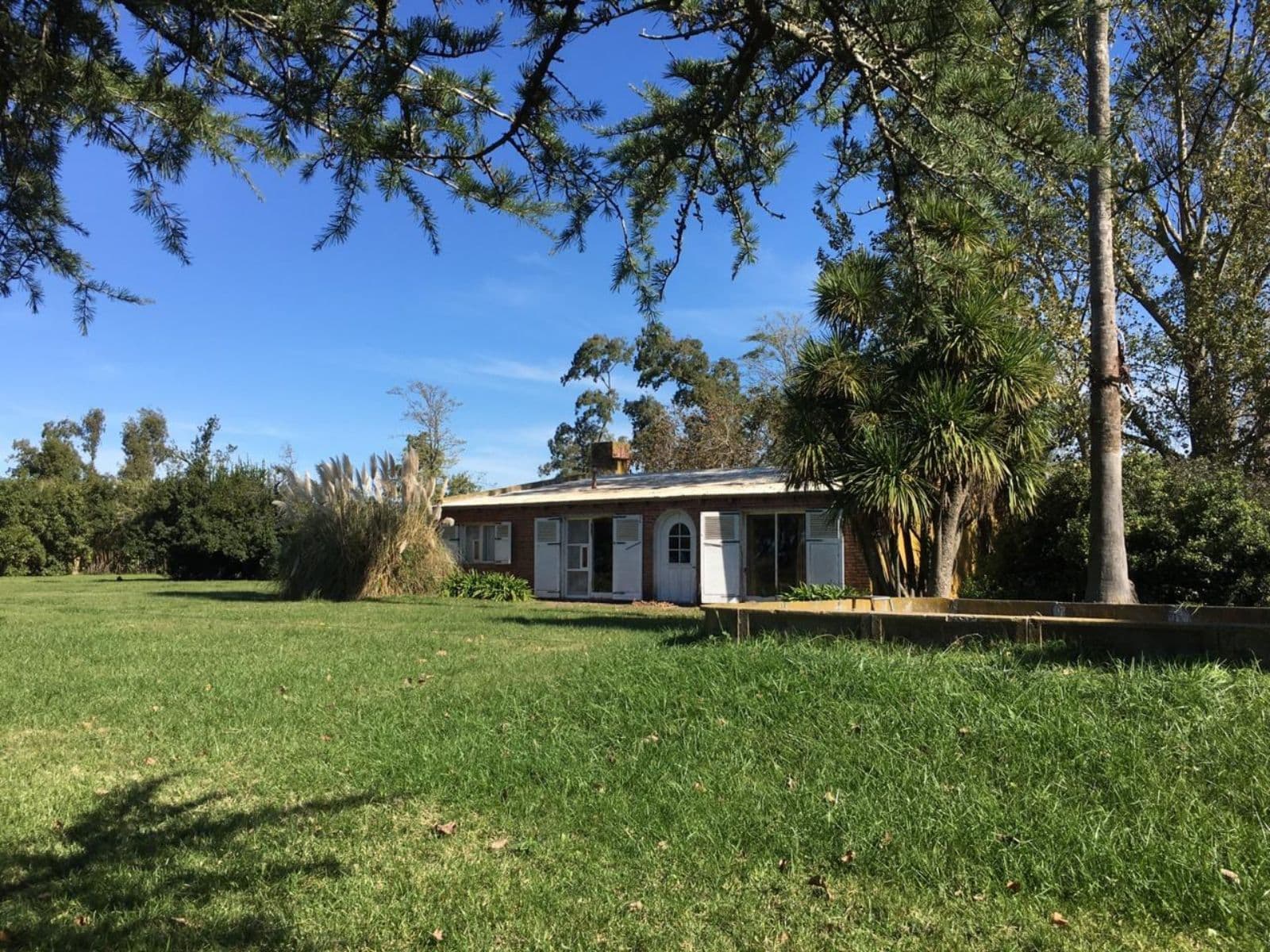 Campo 272 hectareas Lobos - 1