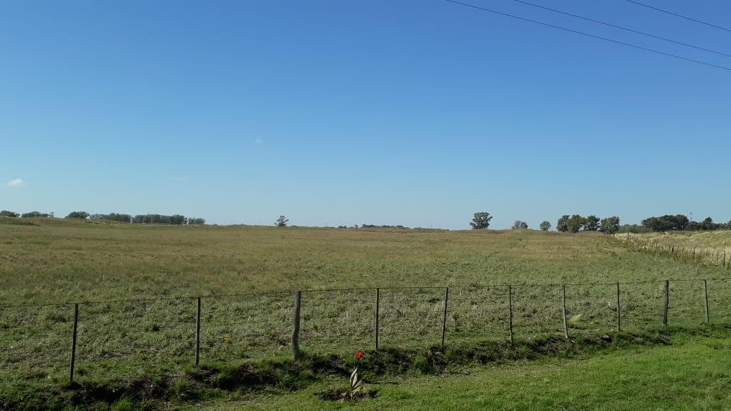 Lotes en Venta Ruta 18 Rolon - La Pampa - 1