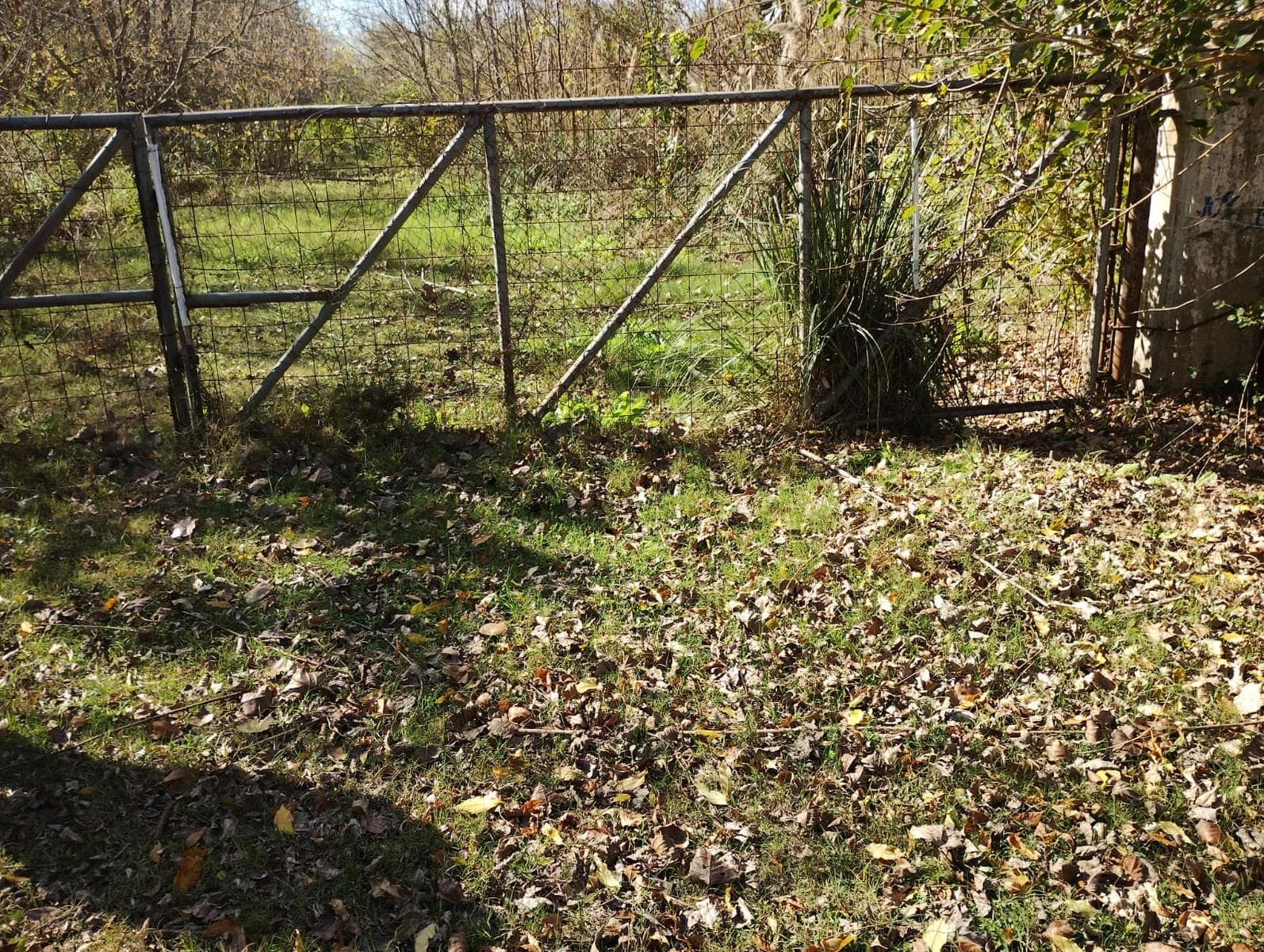 Venta Campo 17 ha en Dique Lujan Tigre - 1