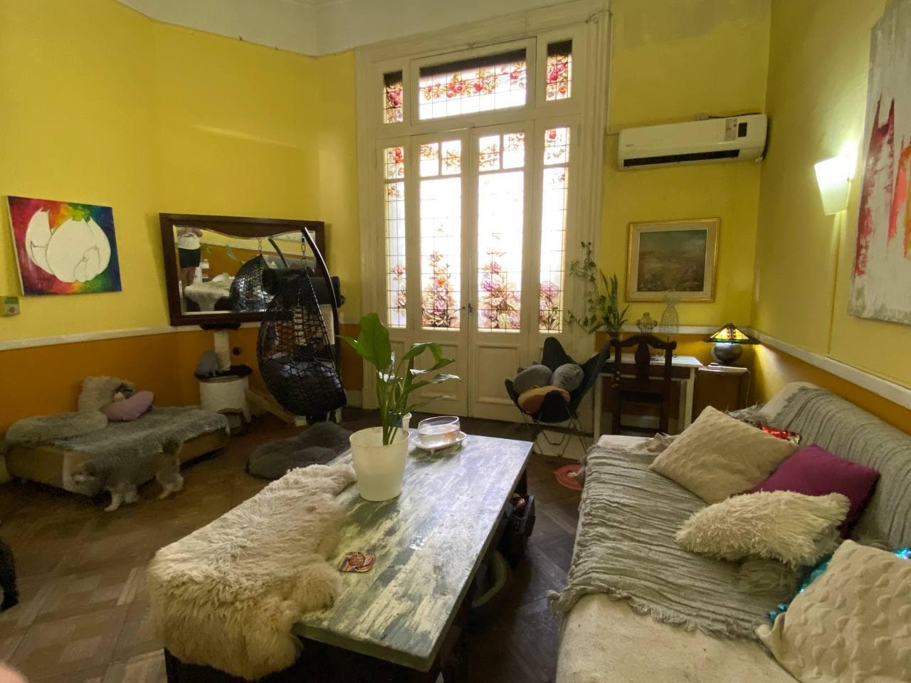 PH en Constitución - 1