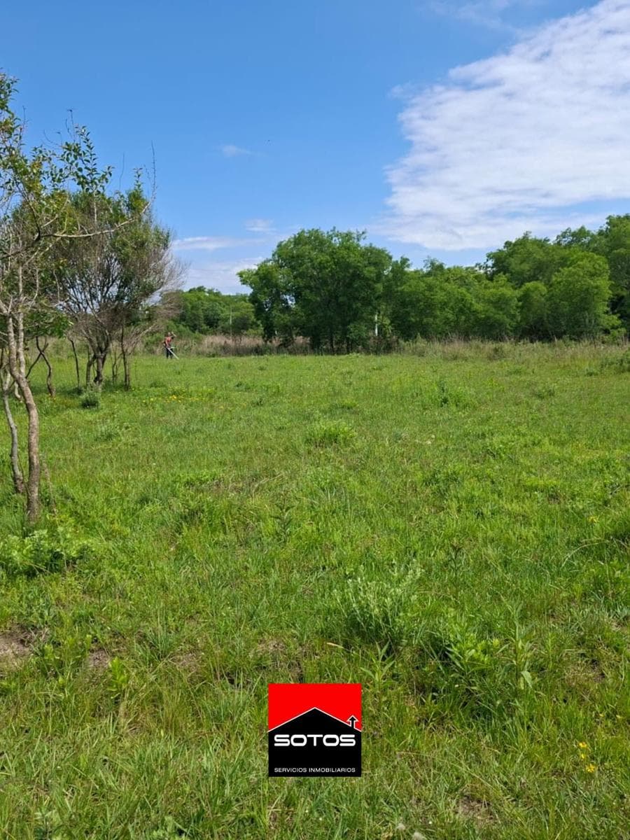 Terreno en San Cosme - 1