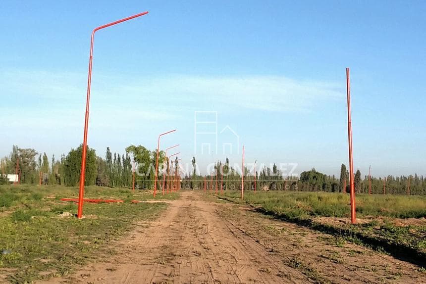 Venta Lote 287 M2 en esquina Loteo Don Federico Allen - 1