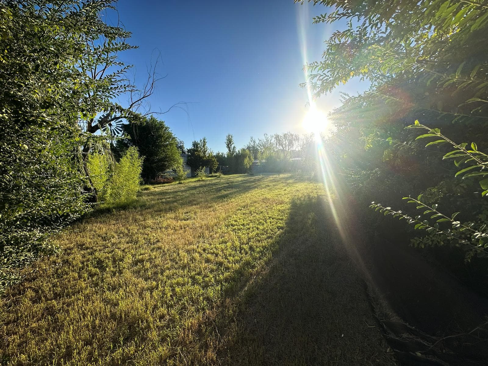 Terreno en zona sur - 1