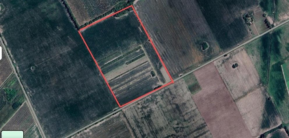 CAMPO AGRÍCOLA EN VENTA - 17 HAS– SAN PEDRO, BUENOS AIRES, PARAJE LA BUENA MOZA - 1