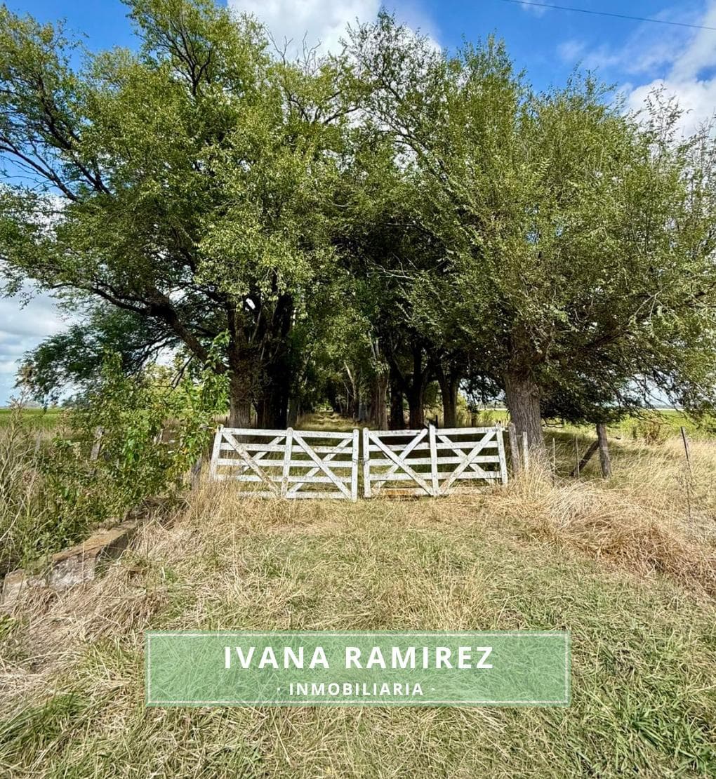 Se vende excelente campo de 83 hectáreas ubicado en la zona rural de Carlos Keen, Luján. - 1