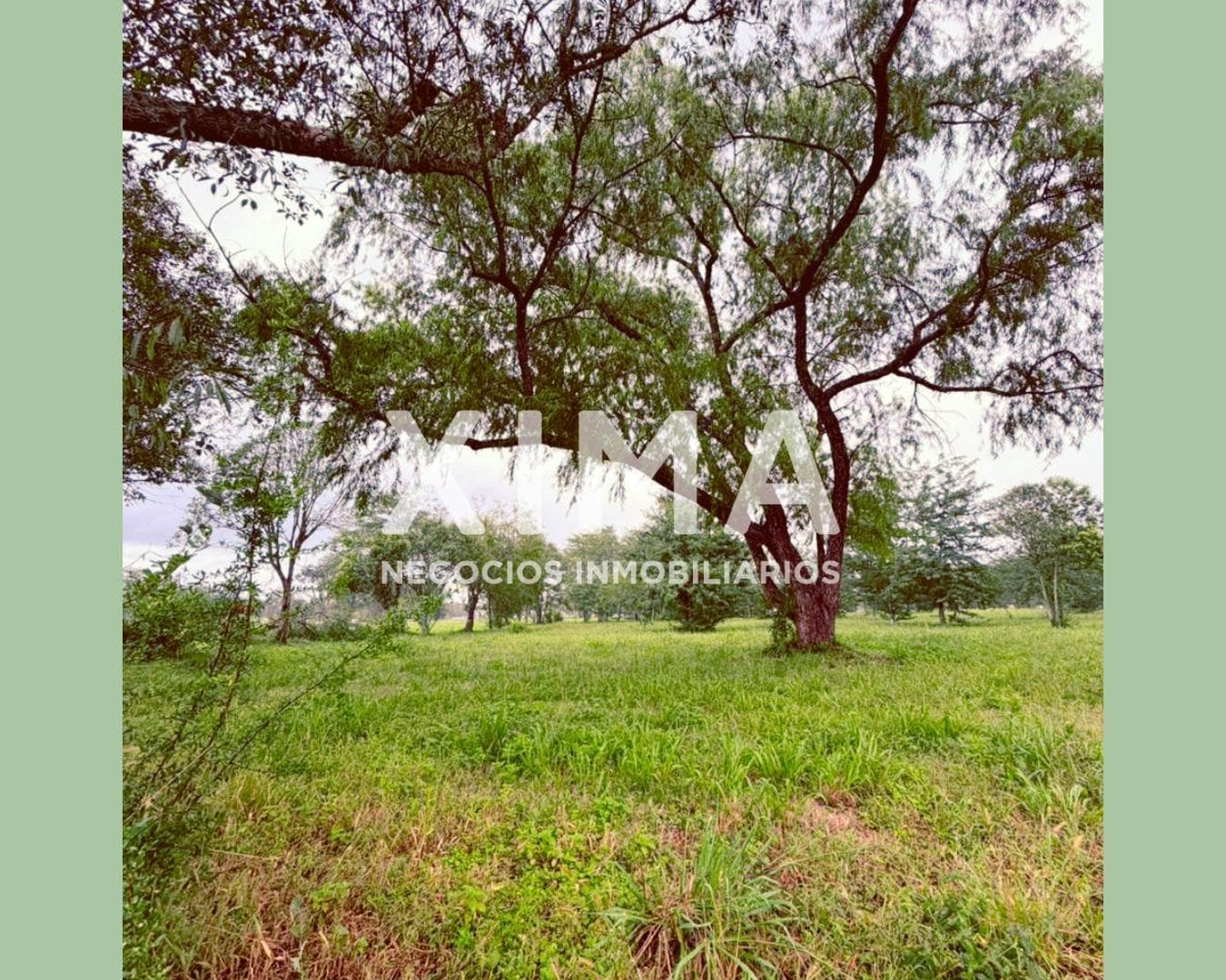 Terreno en venta La Arbolada - 1