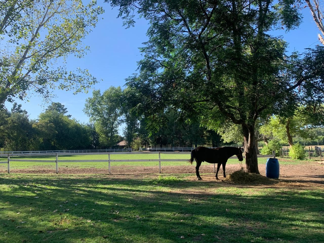 Campo 9,5 ha - Centro Ecuestre - Manzanares Pilar - 1
